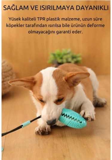 Raikou Köpek Çiğneme Oyuncağı