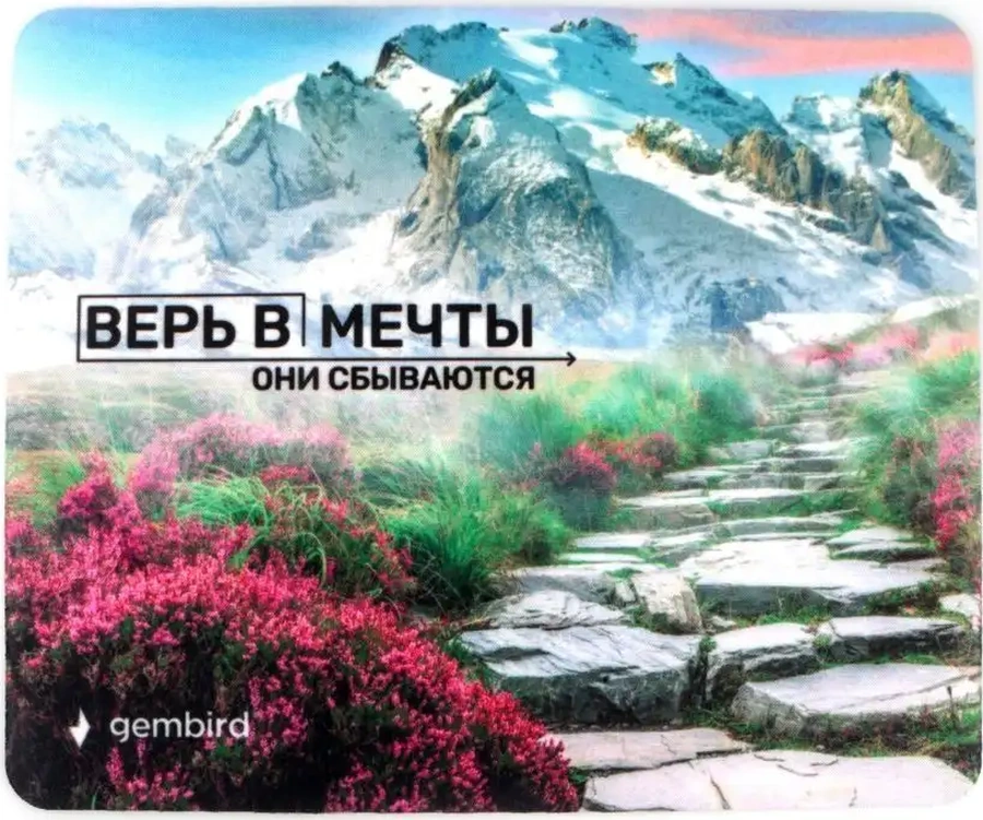 Gembırd Fare İçin Oyun Pedi 250x200x2mm 110665641