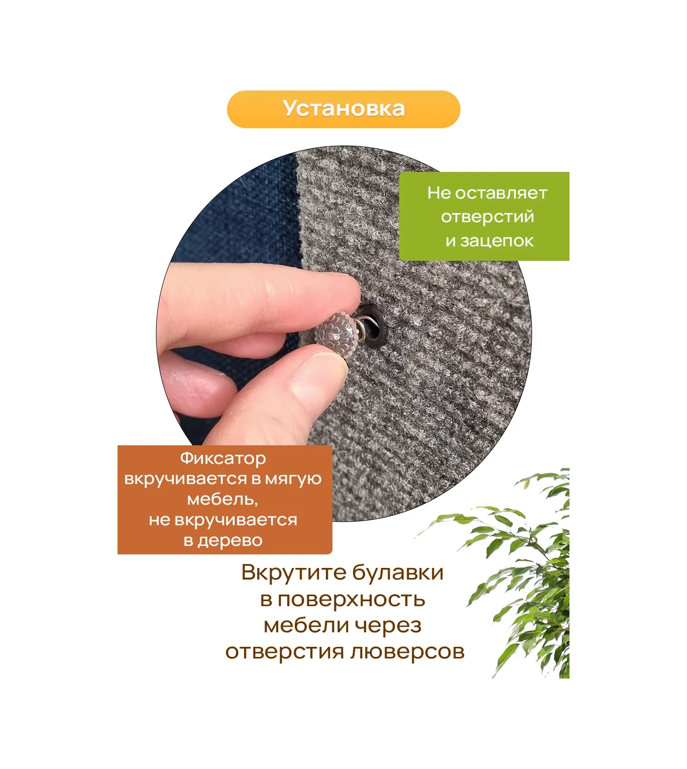 Aseliadia Kedi Kınağı - 80x50 Cm Kanepe Tipi 191549420