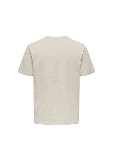 Only&sons Onskıan Lıfe Reg Seersuck Kahverengi Erkek Kısa Kol T-shirt 000000000102263608 Kahverengi Only&sons Onskıan Lıfe Reg Seersuck Kahverengi Erkek Kısa Kol T-shirt 000000000102263608 Kahverengi
