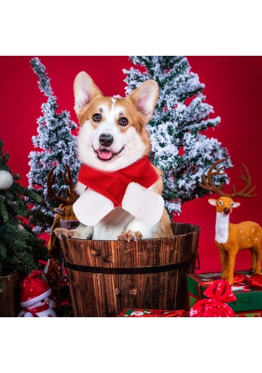 Kangvka Kedi Köpek Bayram Atkısı Kırmızı S Boyutu - Yumuşak Kumaş, Kolay Kullanıma Uygun, Tatil Dekorasyonu Çok Renkli