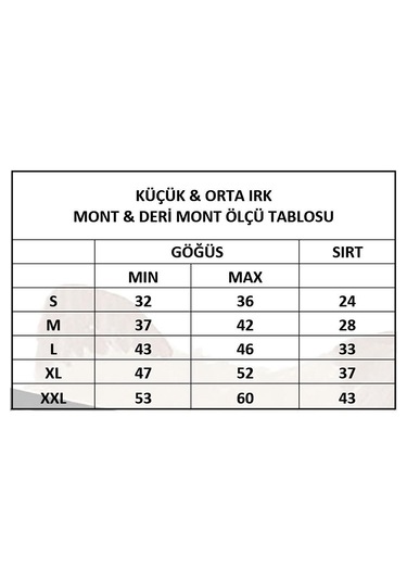 Miniş Pet Butik Ayıcık Desenli Kedi Köpek Şişme Yelek Mont