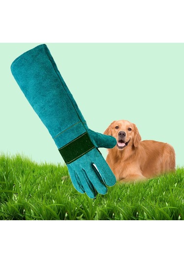 Suntek Evcil Hayvan Taşıma Eldivenleri Veterinerler Için Evcil