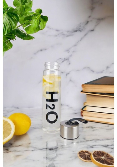 H2o Borosilikat Metal Kapaklı Cam Matara 450 Ml C1-1-18