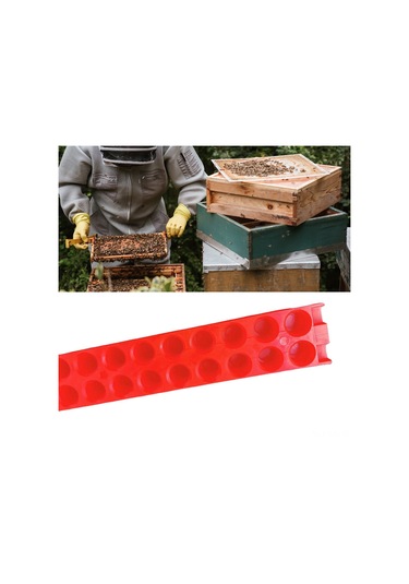 Gajeena Arı Kraliçe Taşıma Aleti - Arıcılık Ekipmanı Kraliçe Kafesi Ve Tutucu, Profesyonel Ve Başlangıçcı Arıcılar İçin, Plastik, Kırmızı