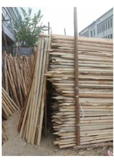 Ahşap Direk Fidan Destek Direkleri 150 Cm 15 Adet
