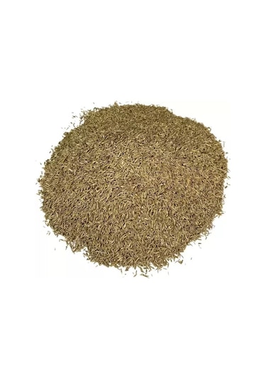 Grass Mixture 6 Karışımlı İthal Çim Tohumu 10 Kg 1 Paket