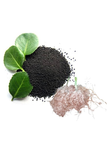 Humic Fulvic Asit Leonardit Granül Organik Taban Gübresi 10kg