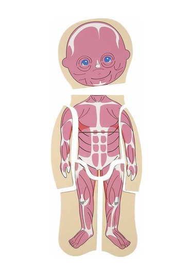 Woody Katmanlı İnsan Vücudu Giydirme Oyunu Ahşap Puzzle Yapboz