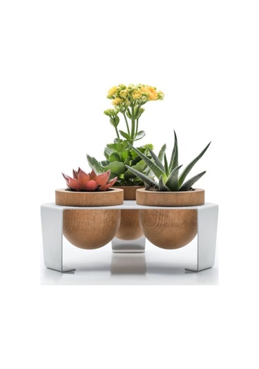 Halohope Metal Stantlı 3'lü Skulent Saksısı Beyaz Saksılık