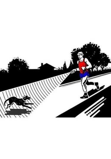 Repel Rp 30 V2 El Tipi Köpek Kovucu Eğitici 30 Metre Etkili