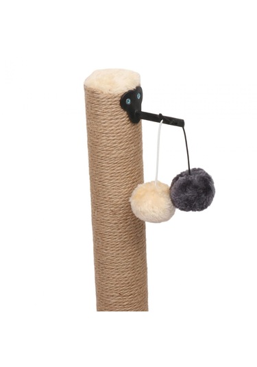 Suntek Kedi Tırmalama Sonrası Kediler Taşlama Paws Asılı Top