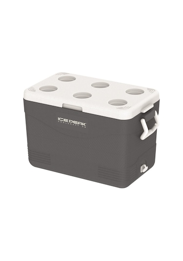 Icepeak Coolcraft 46 Buzluk 41.6 Litre-füme Füme