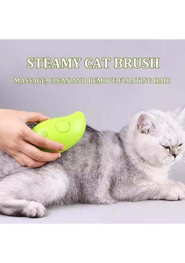 Büro Ev Evcil Hayvanı İçin Buharlı Kedi Tarağı