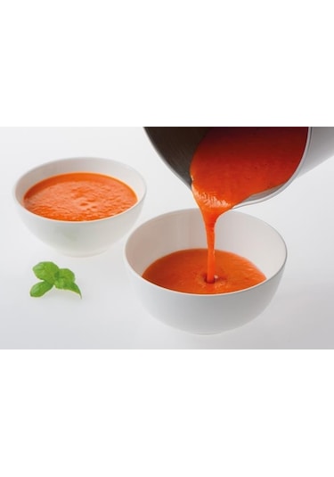 Fritel SB 3190 1.6 L 900 W Çorba Makinesi