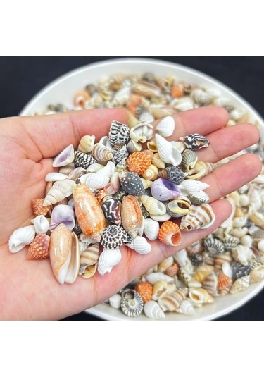 Willowhaven 50g Mini Deniz Kabuğu Kumu - 12 Farklı Renk Dıy El İşi, Akvaryum Dekoru