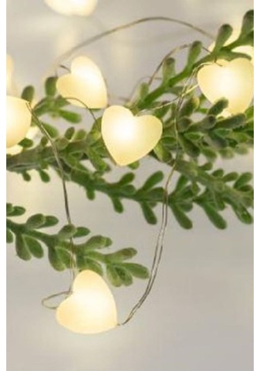 Kalpli Peri Led Işık Gün Işığı