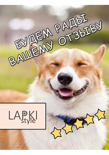 Lapkistyle Köpekler İçin Ragbi Topu 240323451