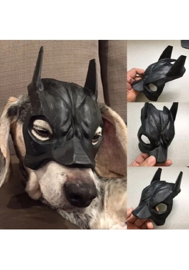 Köpekler İçin Batman Maskesi