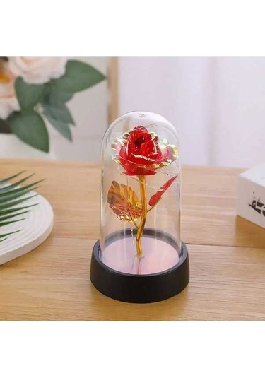 Dancemonkey Şeytan Gül Ve Led Işıklı Cam Kubbe Gece Lambası - Romantik Hediye Kırmızı Kırmızı