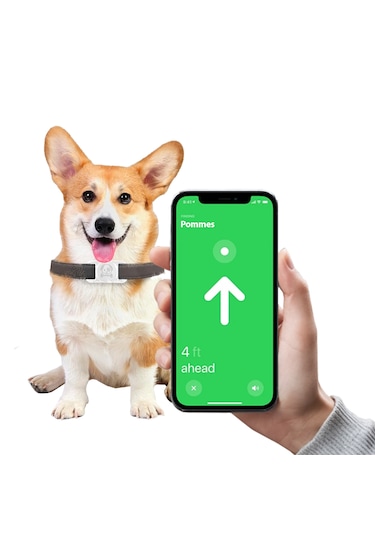 Buff Tagsafe Dogcol Taşınabilir Anahtarlık Airtag Kılıf White