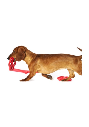 Orma Büyük Köpek Oyuncağı Sarı