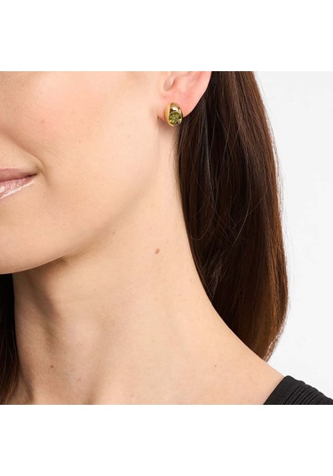 Michael Kors Mkj8554-710 Kadın Küpe Altın