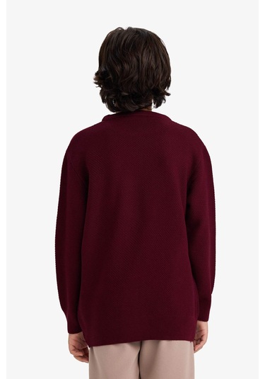 Defacto Erkek Çocuk Bisiklet Yaka Triko Kazak G5563a825wnbr464 Bordo-br464