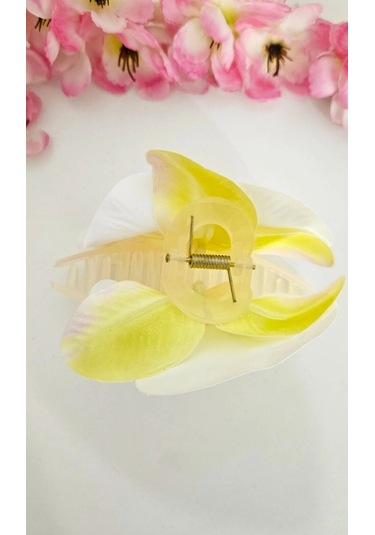 Orkide Saç Tokası Buketi - 6 Adet İncili Çift Taraflı Büyük Boy Mandal Toka - Karışık Renk Gelecektir - Hediyelik Çok Renkli