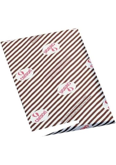 Canson Aydınger 5 Adet , 90/95 Gr 70x100 Cm