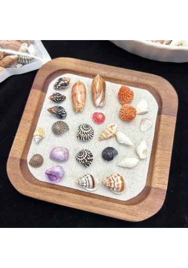 Willowhaven 50g Mini Deniz Kabuğu Kumu - 12 Farklı Renk Dıy El İşi, Akvaryum Dekoru