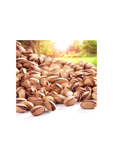 Alper Tunga Kabuklu Antep Fıstığı 500 G