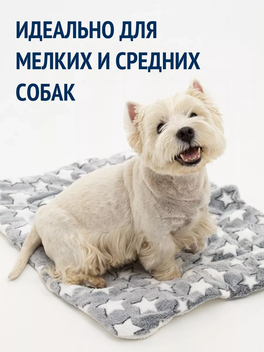 Tcallini Pets Küçük Ve Orta Boy Köpekler İçin Yatak, 80 60 Cm 179683880