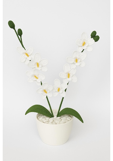 Orkide El Yapımı Örgü Hediye