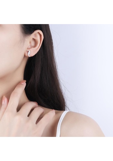 Yaratıcı Hayvan Gümüş Küpe Kadın Zamanı İçin Zarif Papağan Şekli Zirkon Küpe Parti Takı Yıldönümü Hediyesi S925 Gümüş Takı