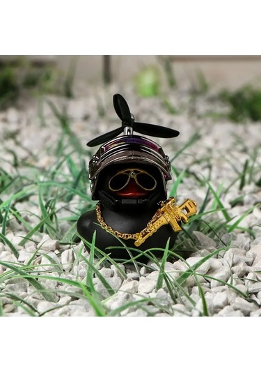 Simalend Arabanın İçinde Kasklı Ve Gözlükli Ördek 165493343