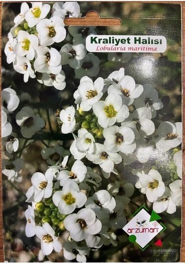 Kraliyet Halısı Çiçeği 100 Adet Tohum