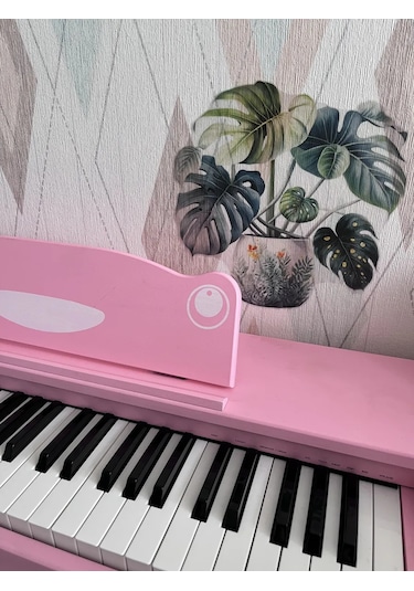 Brightnest Duvar İçin İç Mekan Monstruos Çıkartmaları 348225319 Yeşil