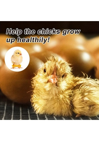 Willowhaven 7 Adet Civciv Bacak Desteği, Yeni Doğan Kuşlar İçin