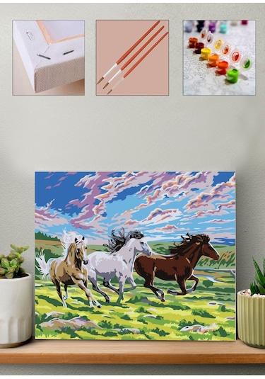 Sayılarla Boyama Seti 40x50 Cm