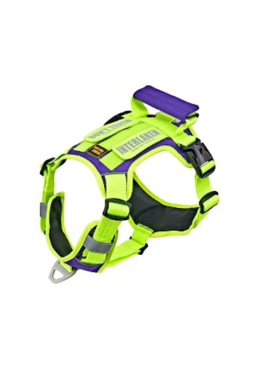 Interlaken Harness Köpek Göğüs Tasması Neon Yeşil Mor XL Neon Yeşil Mor