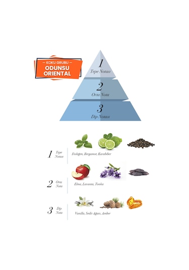 Prova Army Odunsu Erkek Parfüm EDP 100 ML