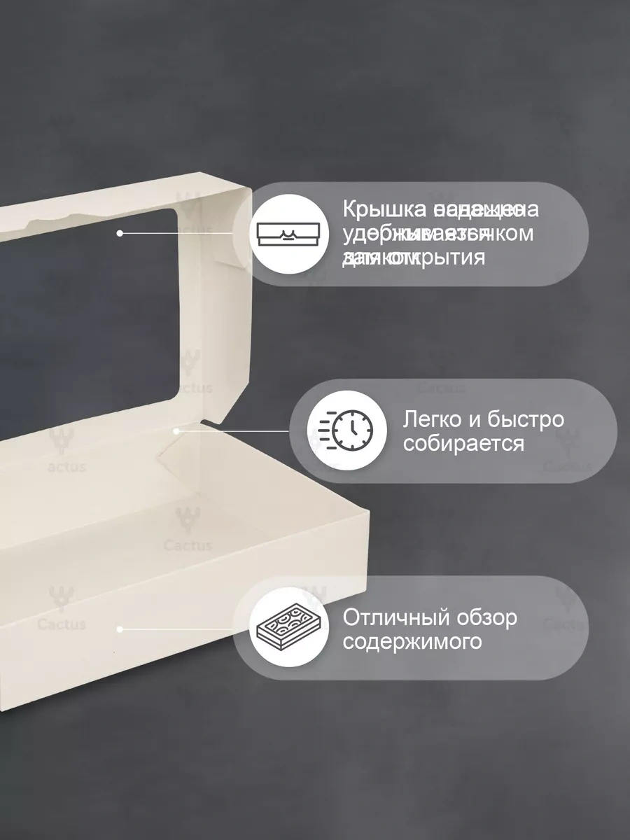 Cactus Beyaz Hediye Kutusu, Camlı Kendinden Montaj Ambalajı 208474289