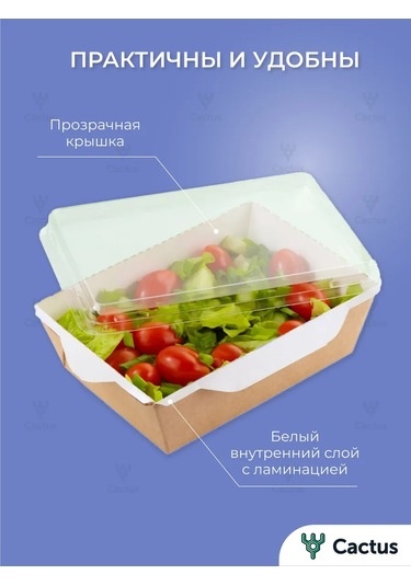 Cactus Kapaklı Tek Kullanımlık Yemek Kabı 500 Ml 391854527 100 adet