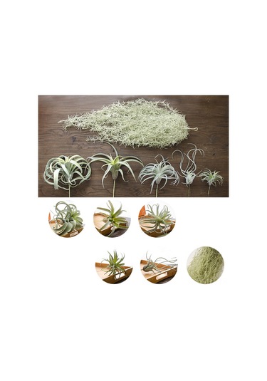 Geeroyoo Yapay Ananas Çimi Dekoratif Bitki - 6 Çeşit Plastik Ev Ofis Süsü