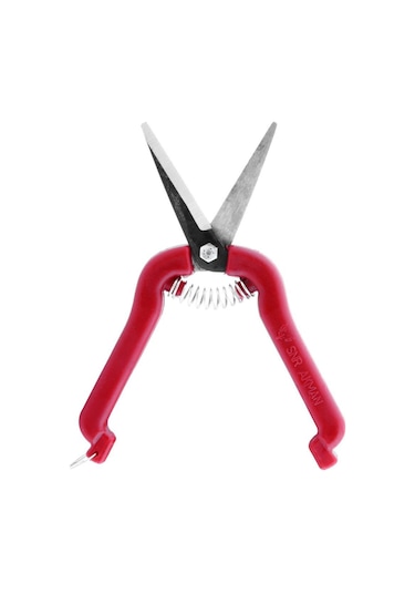 10 Adet Akman Narenciye Üzüm Çiçek Bağ Dal Budama Makası Düz Uçlu