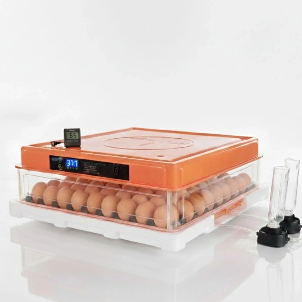 Kamera İlaveli Evonest 120 Yumurtalık Kuluçka Makinesi Otomatik Isı, Nem Ve Çevirme Kontrolü