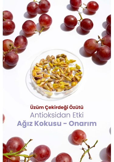 Probident Aktif Probiyotikli Üzüm Çekirdeği Özüt İlaveli Diş Macunu 3 x 75 ML