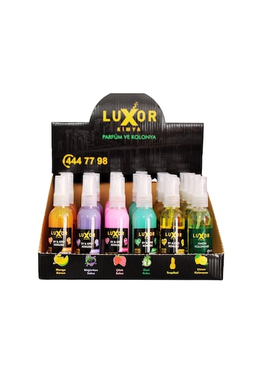 Luxor 24 Adet 50 ML Ev & Oto Koku Seti Özel Kutulu