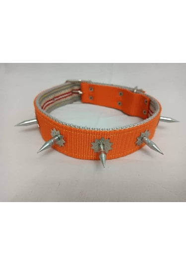 Kozaklı 10458 Çivili Süslü Köpek Tasması Turuncu 70 x 4 CM Turuncu